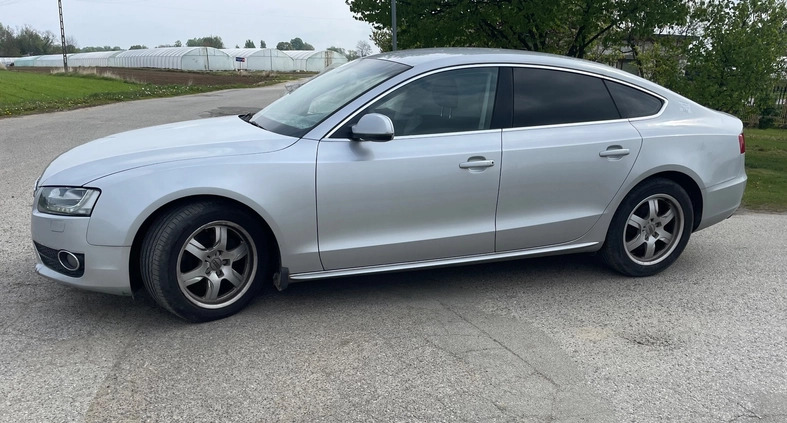 Audi A5 cena 23800 przebieg: 218000, rok produkcji 2010 z Warszawa małe 79
